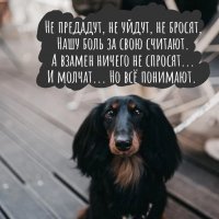 Не предадут...