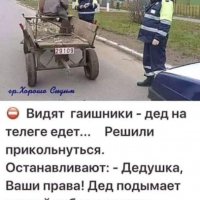 Видят гаишники-дед на телеге едет...