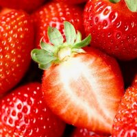 strawberry-441