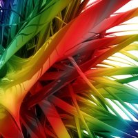 HD.at.ua-Abs-Multi-colored feathers 0159