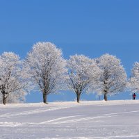 Морозное утро