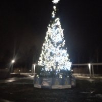 04. Десногорск. Новый год. 31.12.2024