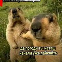 Ща всеку внатуре!:)))))