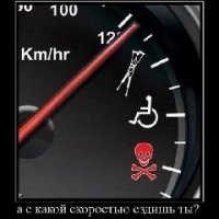 Скорость и жизнь