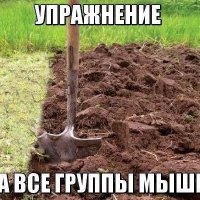 Физзарядка