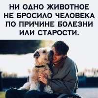 Что значит верность