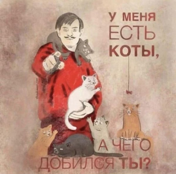 Коты!