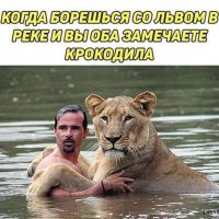 Увидели крокодила