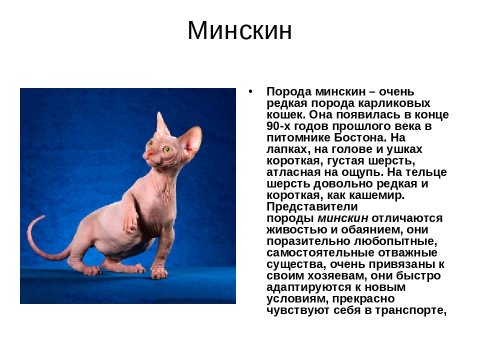 Минскин