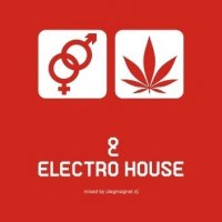 sexdrugzelectrohouse