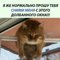 Колокольчики-бубенчики