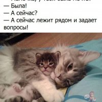 Любопытная Мечта))) 4ejMxpgvds4. pp.userapi.com