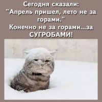 За сугробами!