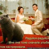 Кот предостерегает ))