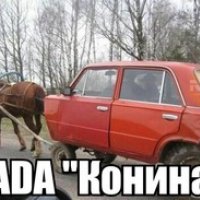 Конина!)