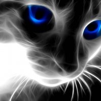 3d-gray-cat-1280