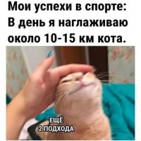 15км кота