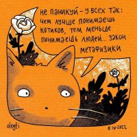 О котиках