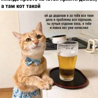 А там кот такой