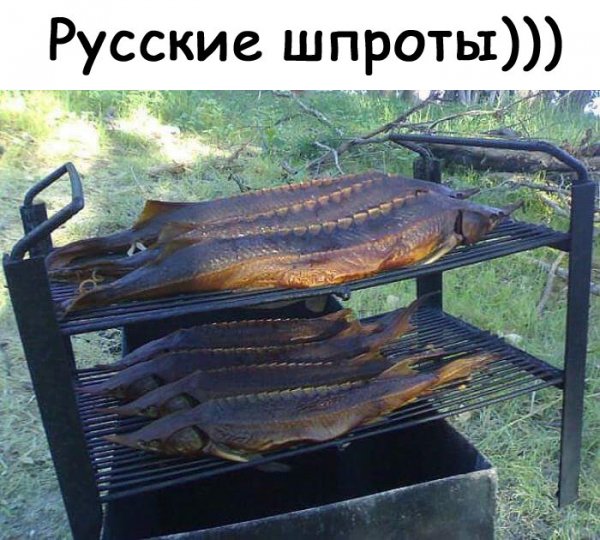 Юмор