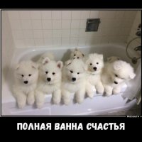 Полная ванна