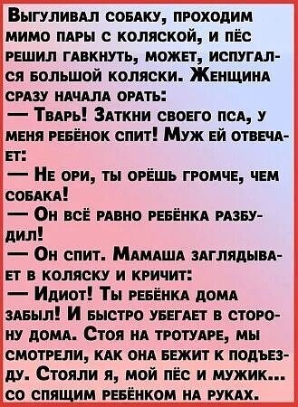 Выгуливал собаку..