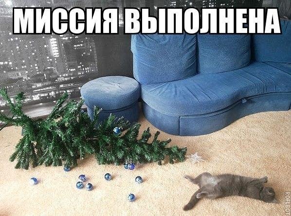 Скотина