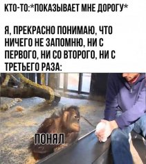 Нихрена не запомню