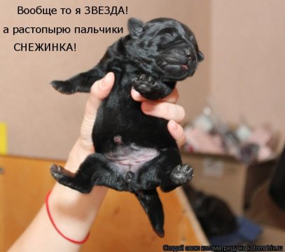 Снежинка!