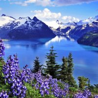 garibaldi columbia lake british