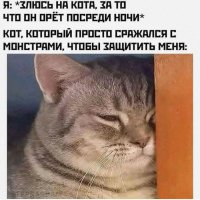 КотЭ)