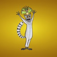 madagascar julian king minimalism ring tailed lemu