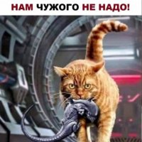 Нам чужого не надо, но своё мы не отдадим