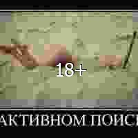 Поиск