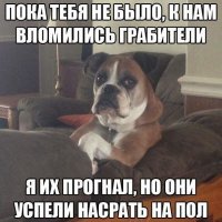 Прикол