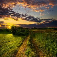 Country-roads-take-me-home-phil-koch