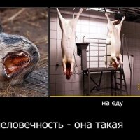 Человечность она такая (((