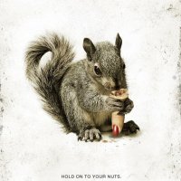 kinogallery.com-lr-Squirrels-279446