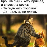 КотЭ)