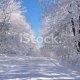 stock-photo-176735-winter-road