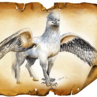 hippogriff