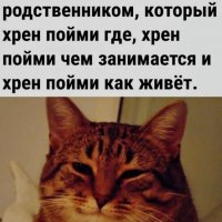 КотЭ)