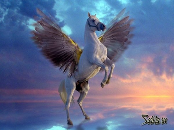 Mystical Pegasus