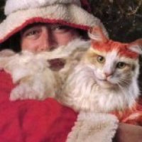 Santa and cat