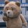 ted-2-iphone-500