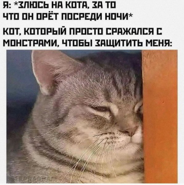 КотЭ)