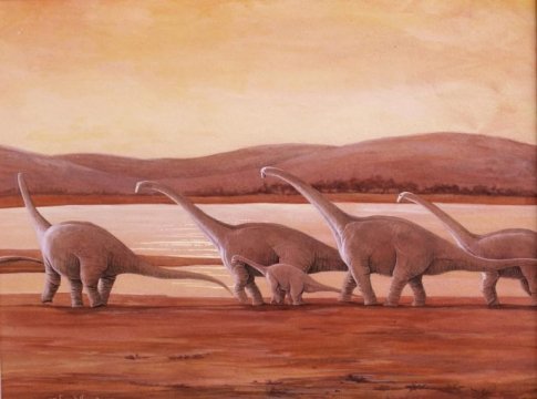 Cpbvk-alamosaurus-e1409819218519-768x570