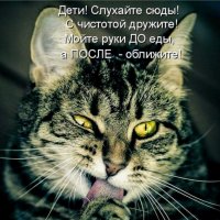 КотЭ)