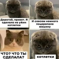 Котлетки