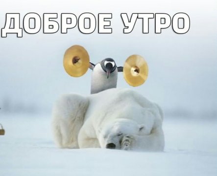 С добрым утром